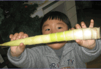 SAP ECCS视频 SAP合并报表的方案之一的视频特色