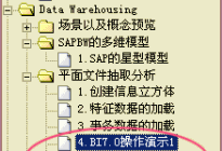 SAP BI的三视频自由观看。